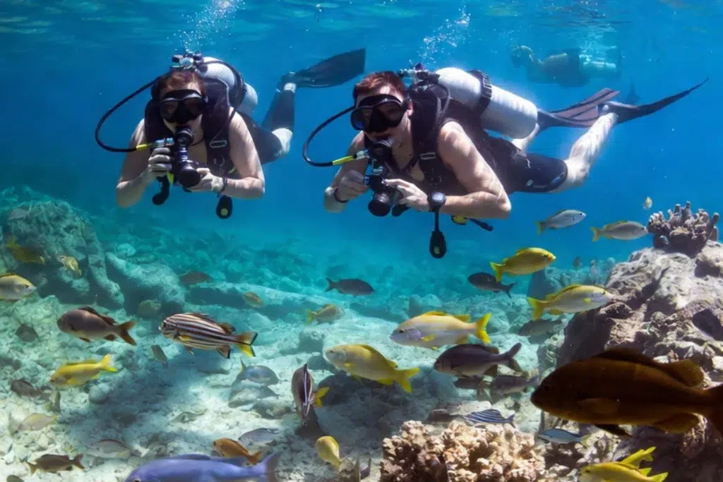 Plongée en Corse : meilleurs spots et prestataires de l&rsquo;île