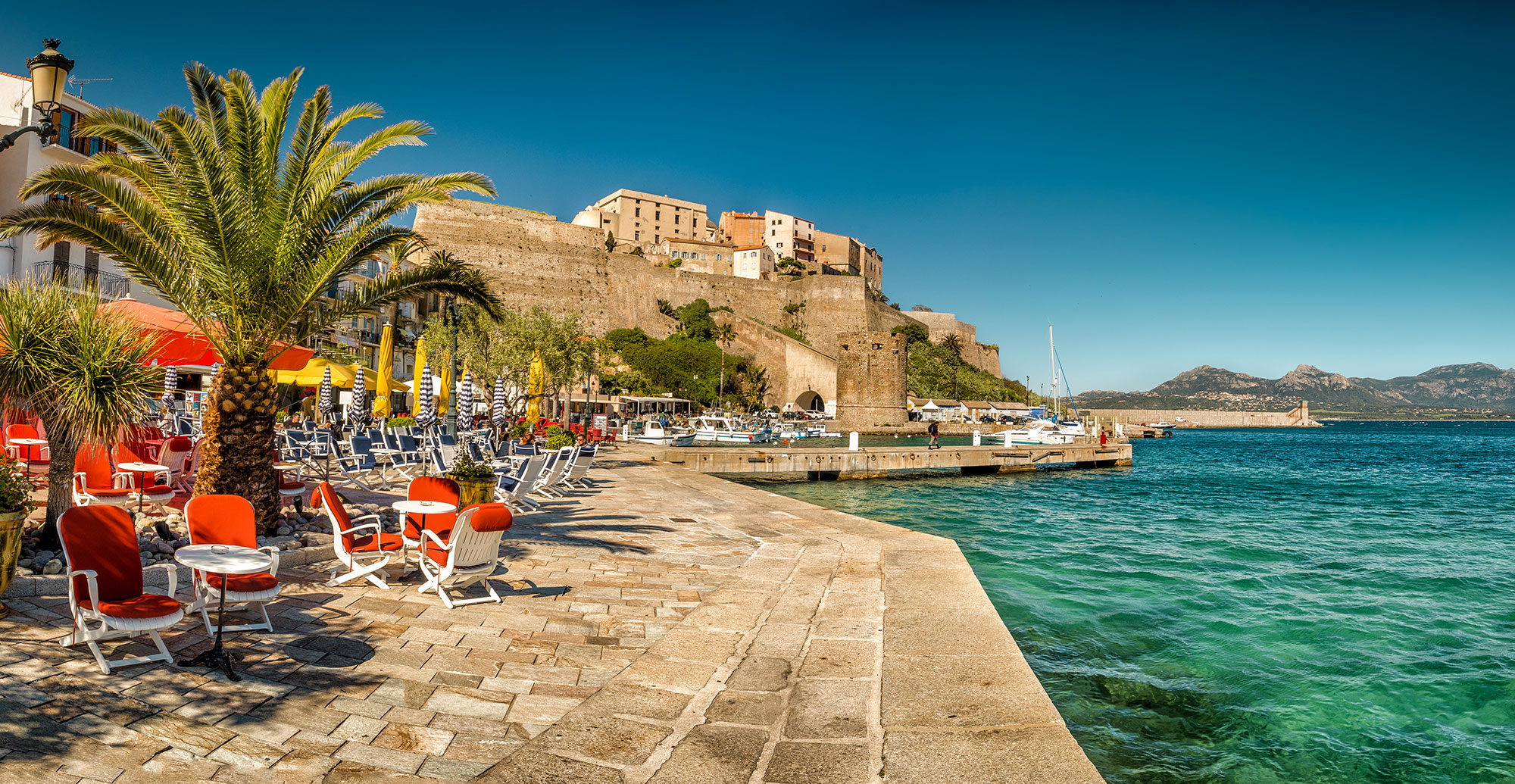 calvi