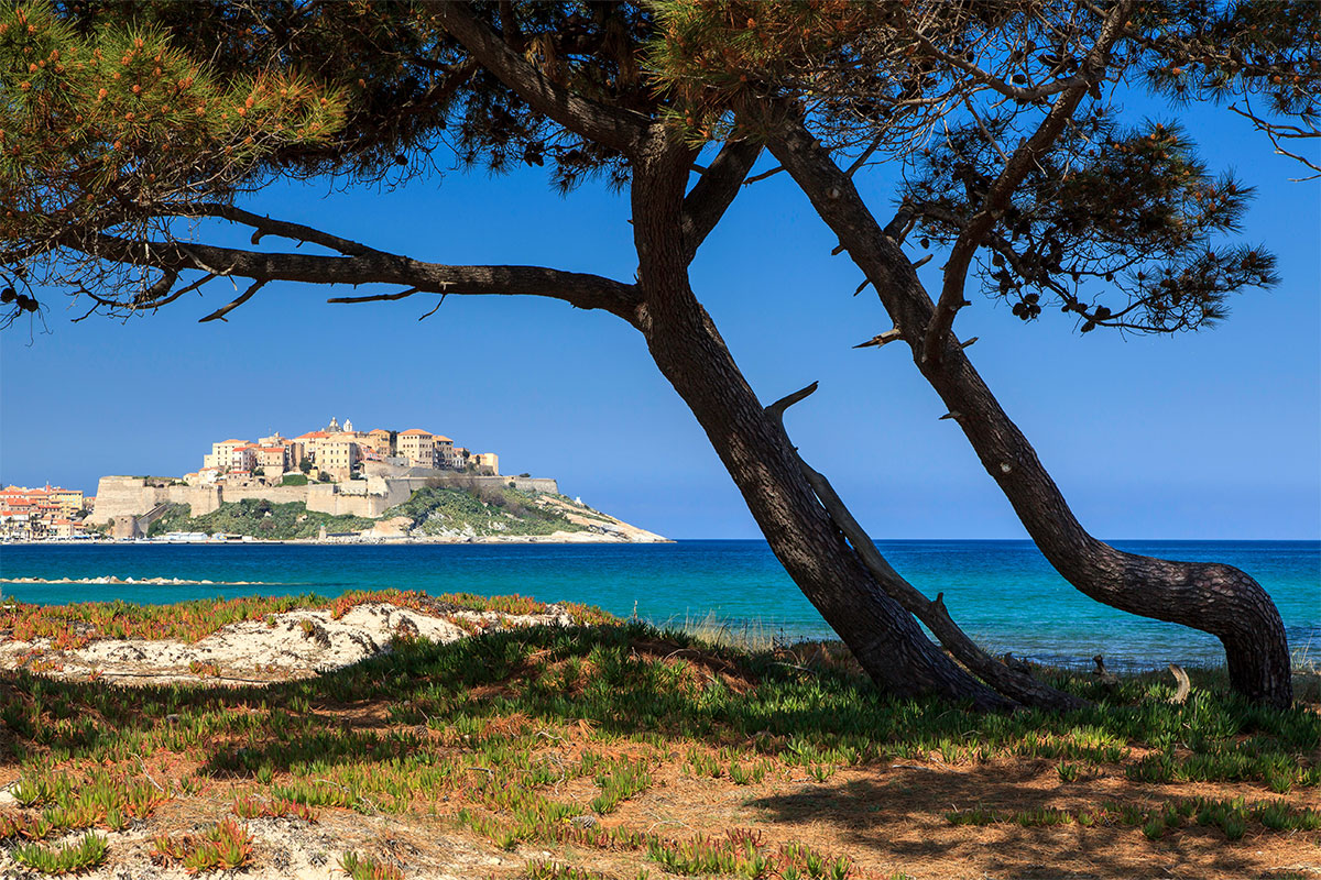 vacances-calvi