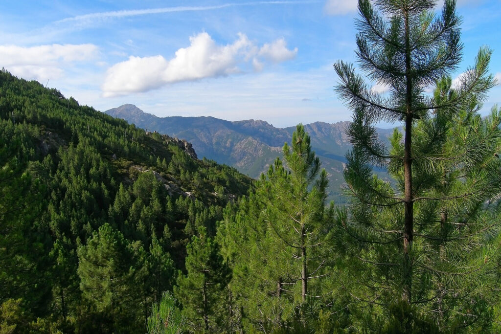 visite-calenzana
